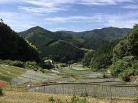 IMG_3226